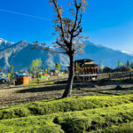 Himachal Pradesh 9 Nights / 10 Days