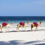 Rann Utsav & Bhuj Heritage Escape